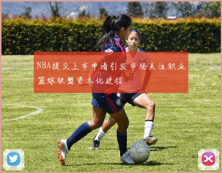 NBA提交上市申请引发市场关注职业篮球联盟资本化进程