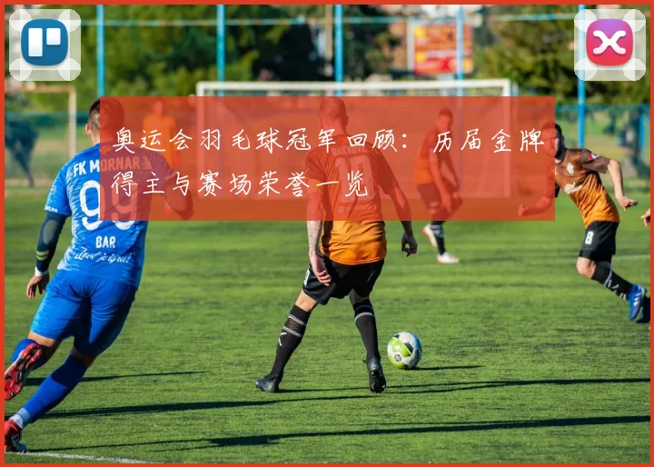 奥运会羽毛球冠军回顾：历届金牌得主与赛场荣誉一览